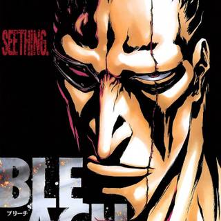 Bleach Shinigami wallpaper