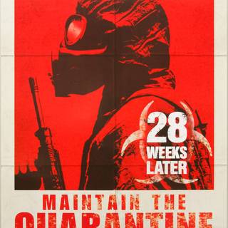 28 Weeks Later Jeremy Renner wallpaper