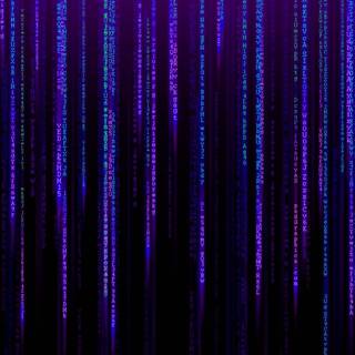 Purple Matrix wallpaper