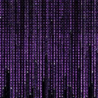 Purple Matrix wallpaper