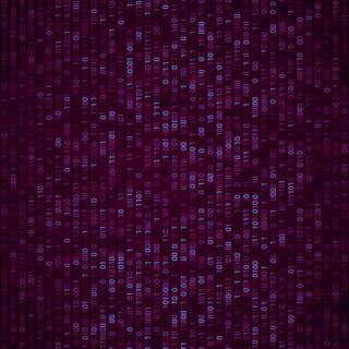 Purple Matrix wallpaper