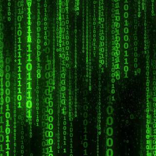 Purple Matrix wallpaper