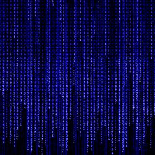 Purple Matrix wallpaper