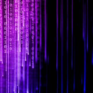 Purple Matrix wallpaper