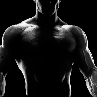 Bodybuilding wallpaper