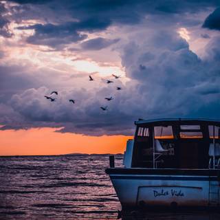 Flying boat wallpaper