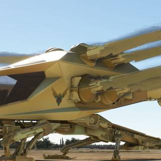 Ornithopter wallpaper