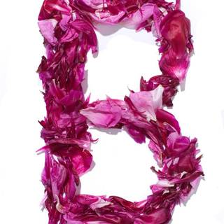 Pink letter B wallpaper