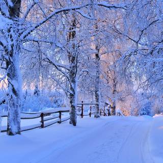 Winter landscape 2560x1440 wallpaper