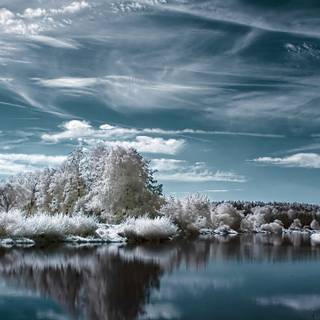 Winter landscape 2560x1440 wallpaper