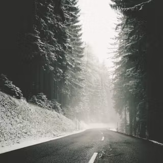 Street winter mist wallpaper