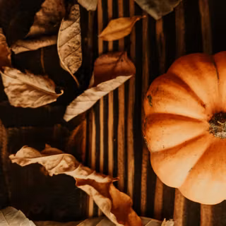 Autumnal aesthetic wallpaper