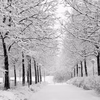 Dark winter road 1920x1080 wallpaper