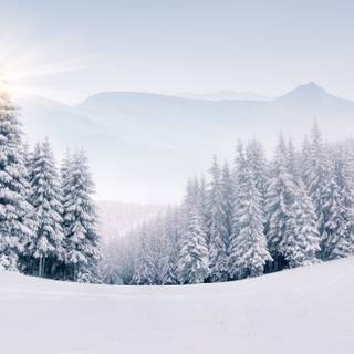 Winter landscape 2560x1440 wallpaper