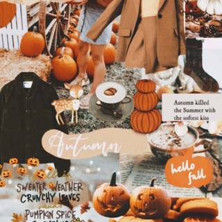Autumnal aesthetic wallpaper