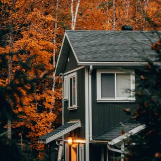 Autumnal aesthetic wallpaper