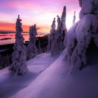 Winter landscape 2560x1440 wallpaper