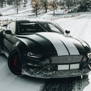 Winter sport cars wallpaper