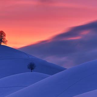 Winter landscape 2560x1440 wallpaper