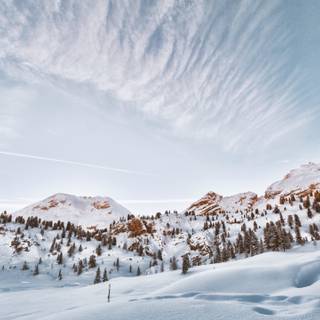 Winter landscape 2560x1440 wallpaper