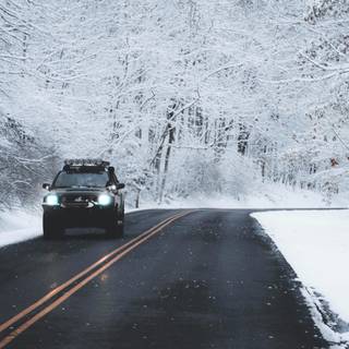 Winter sport cars wallpaper