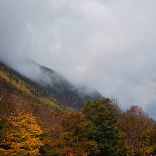 Foggy mountain autumn wallpaper