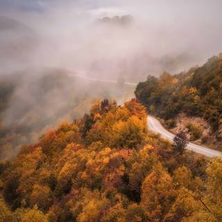 Foggy mountain autumn wallpaper
