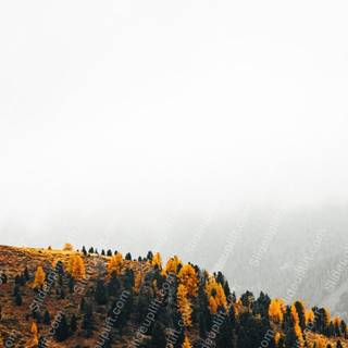 Foggy mountain autumn wallpaper