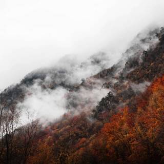 Foggy mountain autumn wallpaper
