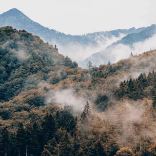 Foggy mountain autumn wallpaper