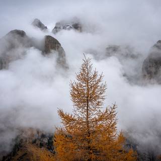 Foggy mountain autumn wallpaper