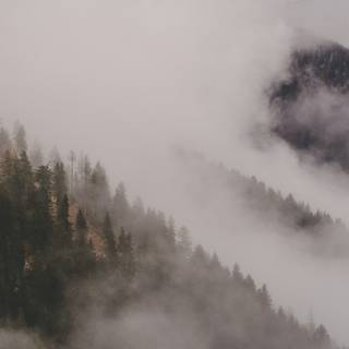 Foggy mountain autumn wallpaper