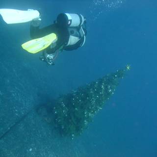 Underwater Christmas tree wallpaper