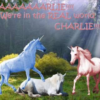 Charlie the Unicorn wallpaper