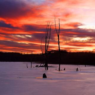 Cinematic nature wallpaper