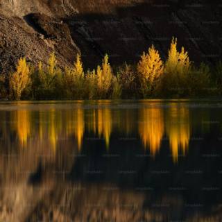 Cinematic nature wallpaper