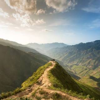 Cinematic nature wallpaper