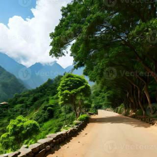 Cinematic nature wallpaper