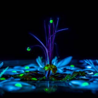 Dark digital wallpaper