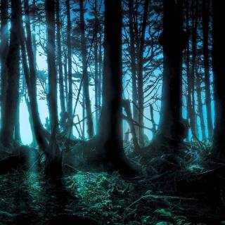 Dark digital wallpaper