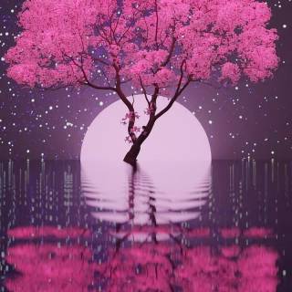 Pink Sakura iPhone wallpaper