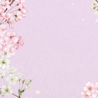 Pink Sakura iPhone wallpaper