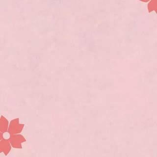 Pink Sakura iPhone wallpaper