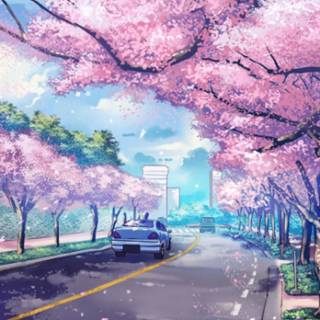 Pink Sakura iPhone wallpaper