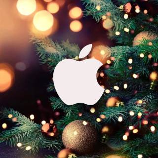 Christmas photography wallpaper