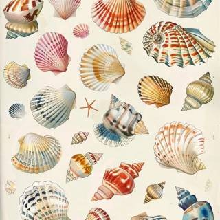 Summer collage wallpaper