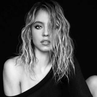 Sydney Sweeney wallpaper