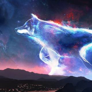 Wolf desktop 4k wallpaper