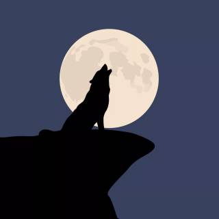 Wolf desktop 4k wallpaper