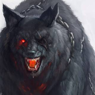 Wolf desktop 4k wallpaper